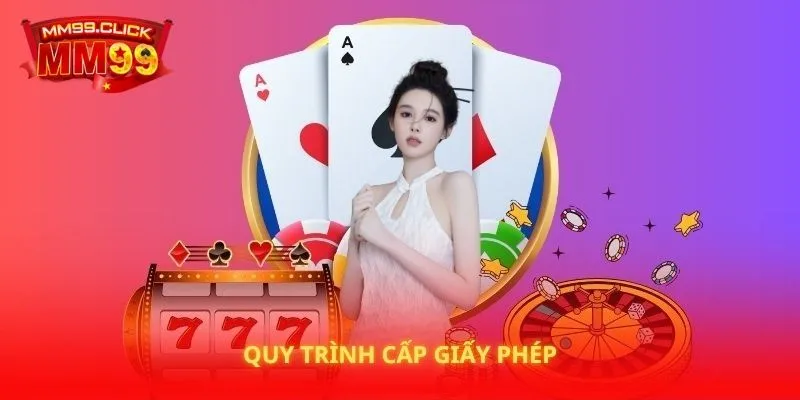 Quy trình cấp giấy phép